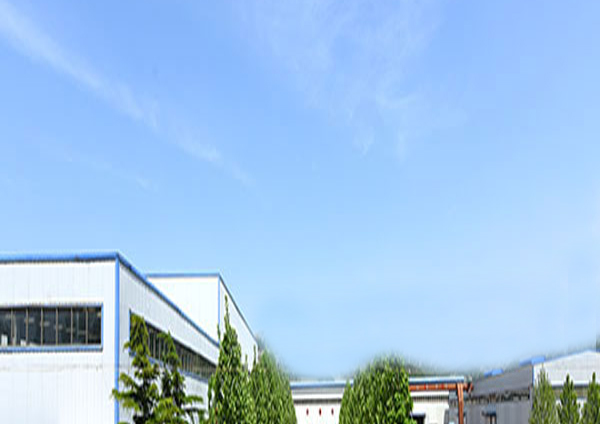 公司简介